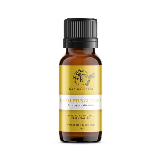 EUCALYPTUS GLOBULUS ESSENTIAL OIL