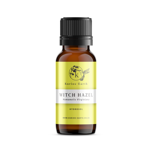 WITCH HAZEL ESSENTIAL OIL / HYDROSOLS